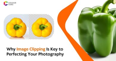 Why Image Clipping Is Key to Perfecting Your Photography